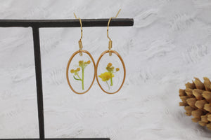 Yellow Alyssum Flowers - Oval Gold Plated Dangle Earrings