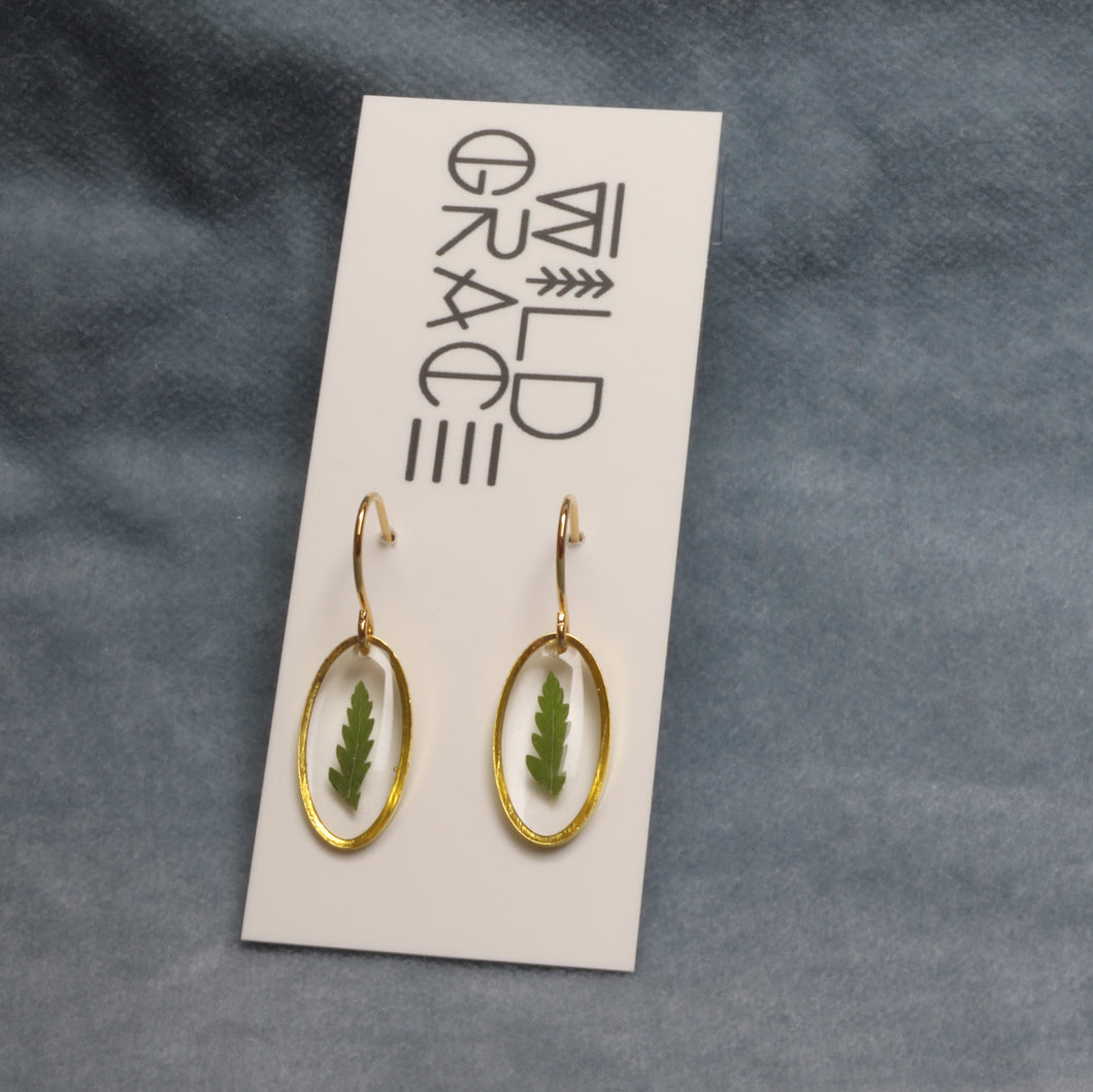 Tiny fern gold oval dangle earrings